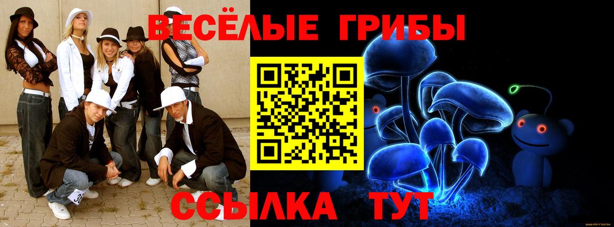 Коркино  Галлюциногенные грибы Cubensis  Вход с VPN  Псилоцибиновые грибы Psilocybine cubensis 